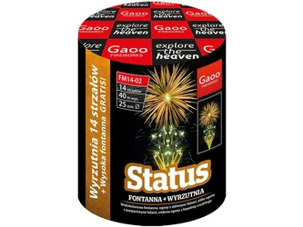 Status FM14-02 - 14 strzałów 1" + fontanna