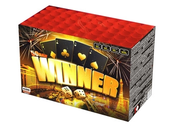 Winner C503WI - 50 strzałów 1.2"