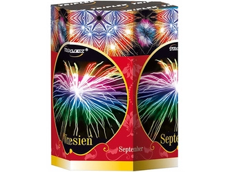 September / Wrzesień TXB563 - 19 strzałów 1.2"