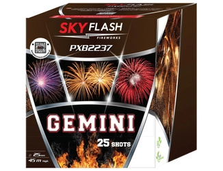 Gemini SKY FLASH PXB2237 - 25 strzałów 1"