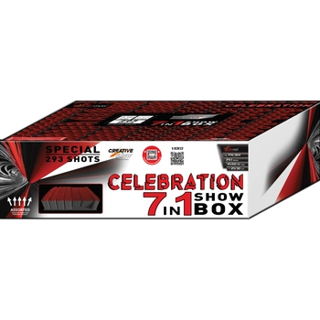 CELEBRATION 293 PXC304 - 293 strzały 1"/1.2"